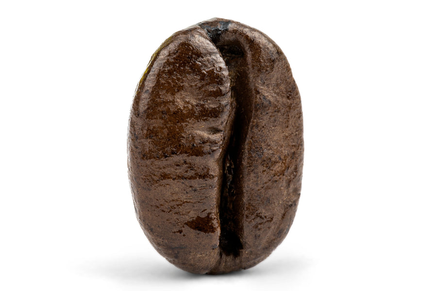 Decaf Colombian Medellin Supremo Coffee C2