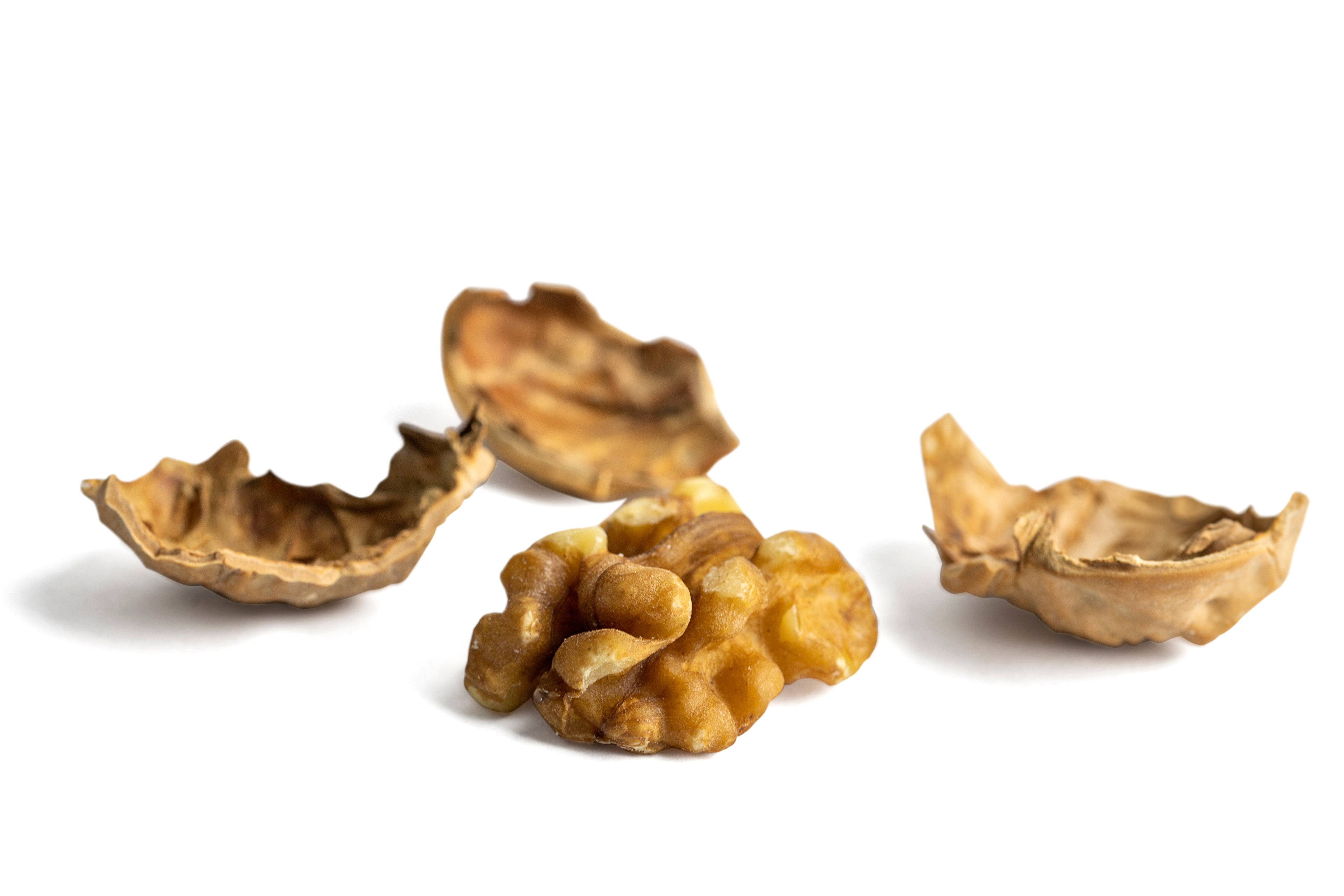 English Walnuts (In Shell) T5