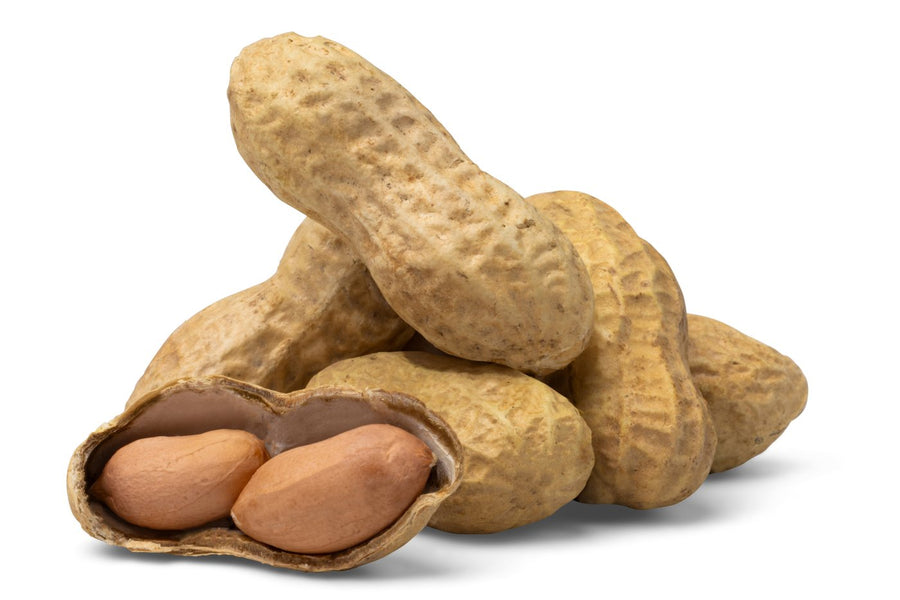 Jumbo Raw Peanuts (In Shell) F8