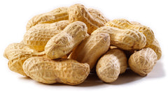 Jumbo Raw Peanuts (In Shell) F8