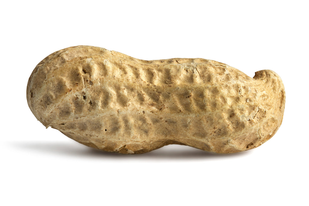 Jumbo Raw Peanuts (In Shell) F8