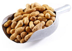 Jumbo Raw Peanuts (In Shell) F8