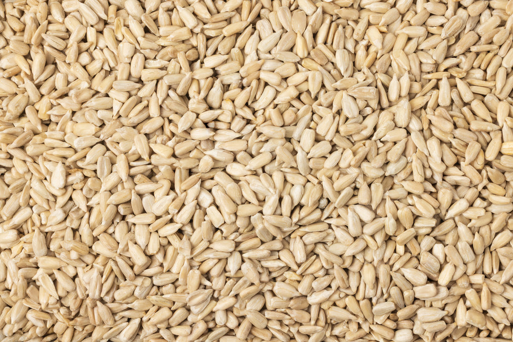 Organic Domestic Sunflower Seeds (Raw, No Shell) E9