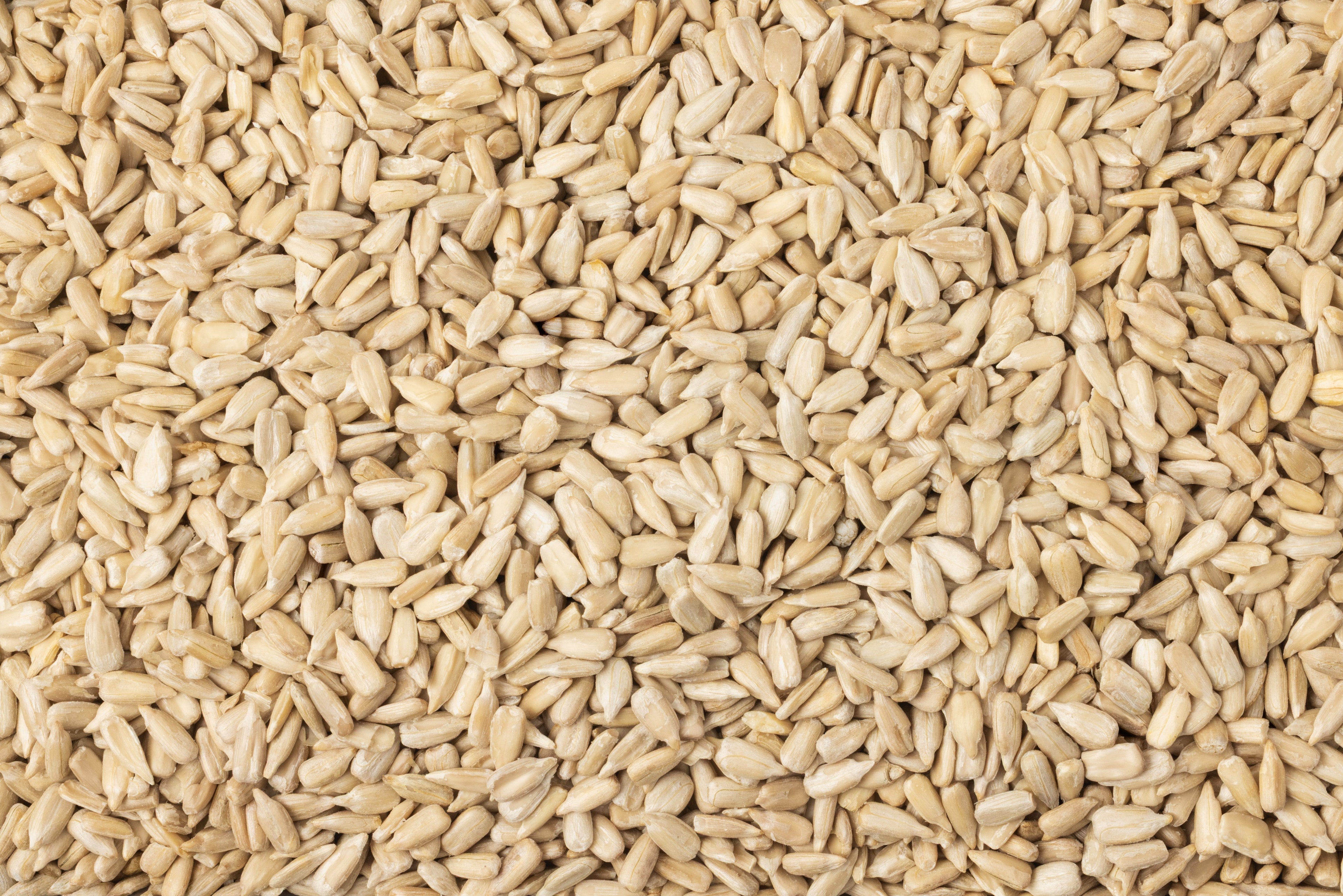 Organic Domestic Sunflower Seeds (Raw, No Shell) E9