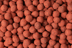 Strawberry Dusted Dark Chocolate Covered Hazelnuts C8